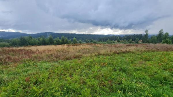 Terreno en Aldea Loureiros, 31