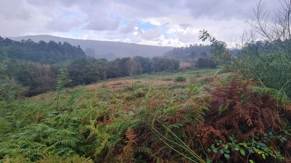 Terreno en Aldea Loureiros, 31