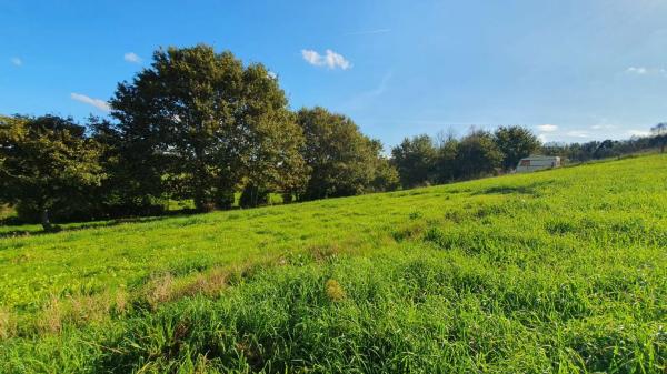 Terreno en Lugar Currais