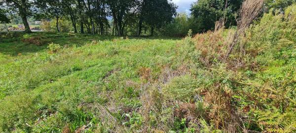 Terreno en Aldea Mourigade, 50