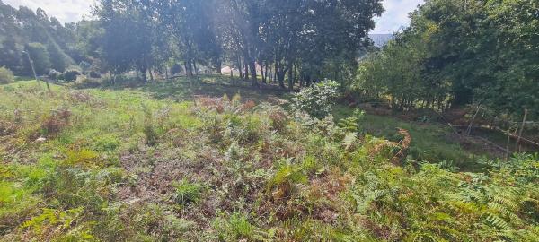 Terreno en Aldea Mourigade, 50