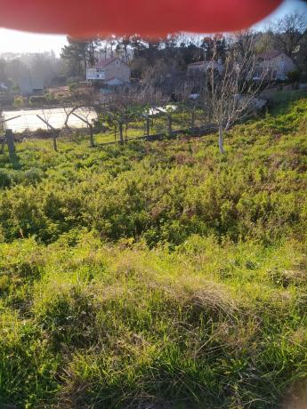 Terreno en carretera san xian s/n