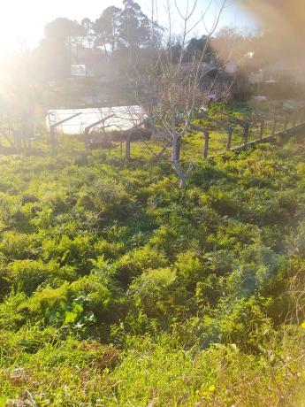 Terreno en carretera san xian s/n