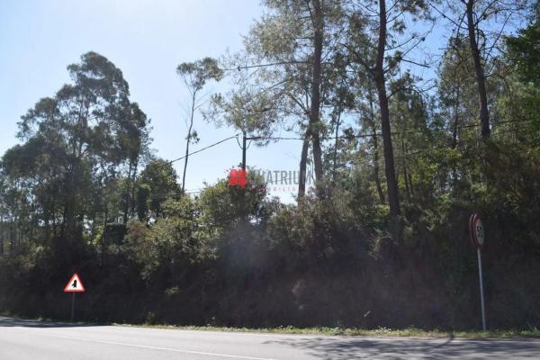 Terreno en Queiroal