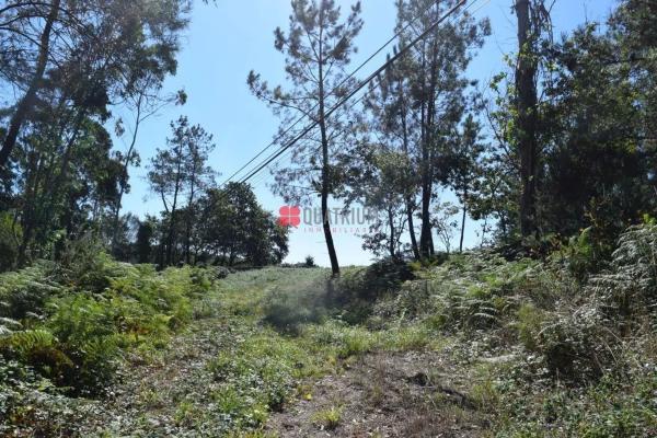 Terreno en Queiroal