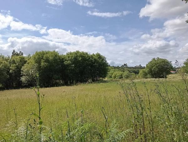 Terreno en Aldea de Beca s/n