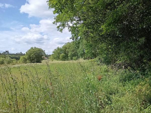 Terreno en Aldea de Beca s/n