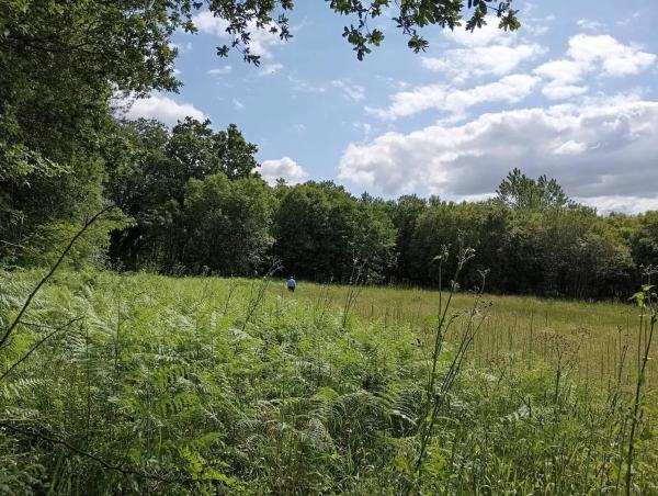 Terreno en Aldea de Beca s/n