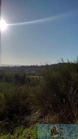 Terreno en Lugar de Pazos