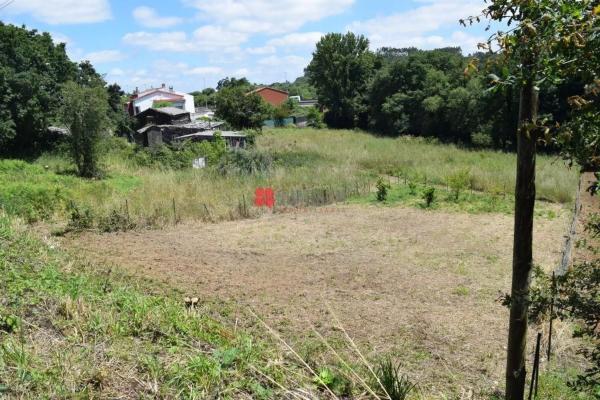 Terreno en calle de Amio