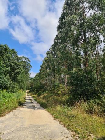 Terreno en Dp-3302 s/n