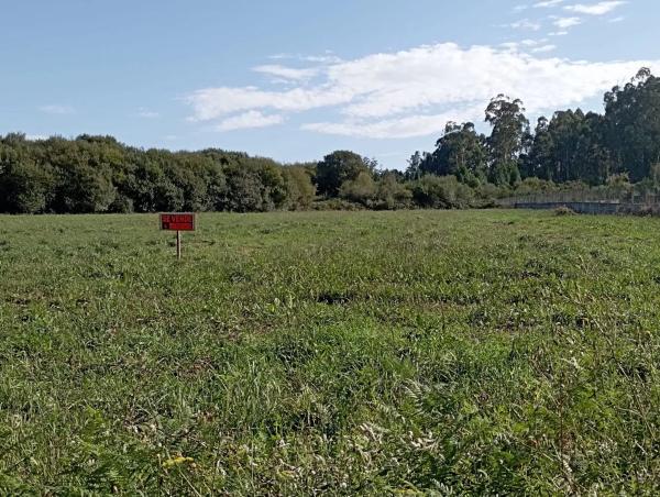 Terreno en Lugar Lagoa, 7