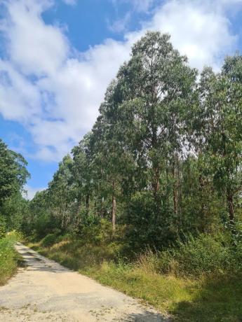 Terreno en Dp-3302 s/n