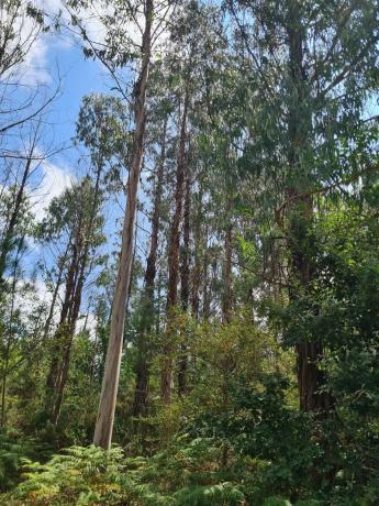 Terreno en Dp-3302 s/n