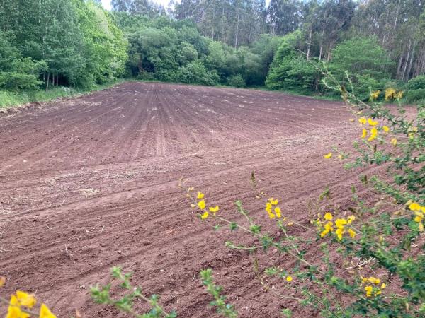 Terreno en Carracedo s/n