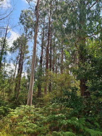 Terreno en Dp-3302 s/n