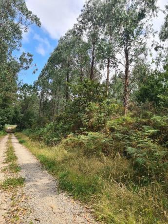 Terreno en Dp-3302 s/n