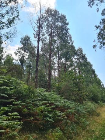 Terreno en Dp-3302 s/n