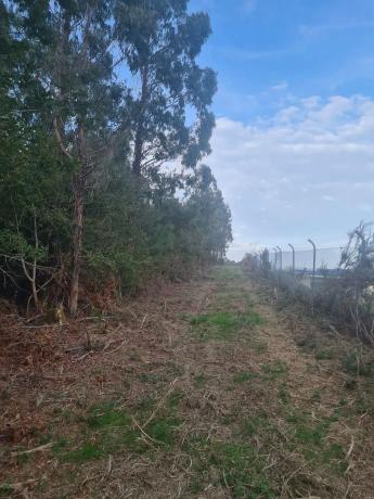 Terreno en Dp-3302 s/n