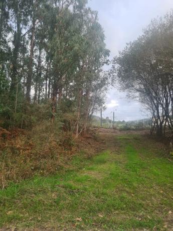 Terreno en Dp-3302 s/n