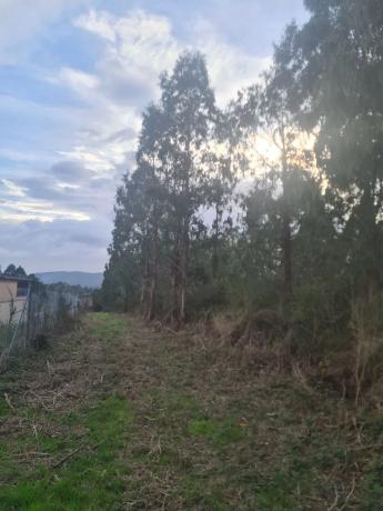 Terreno en Dp-3302 s/n