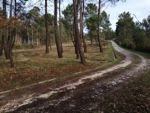 Terreno en Ardagan s/n