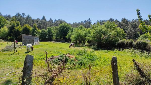 Terreno en Cornide, 770