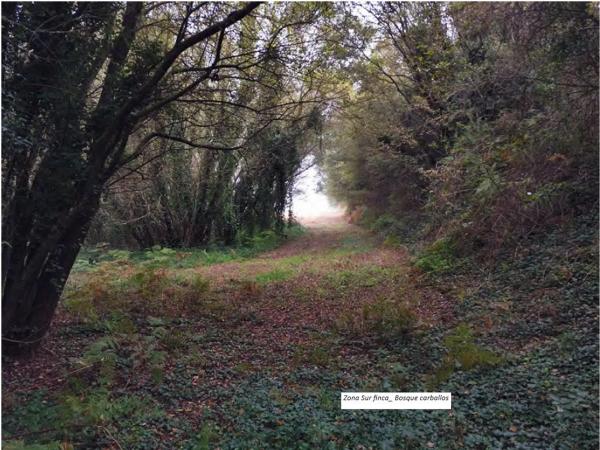 Terreno en a Moniña-Aldea Fraiz, km 0