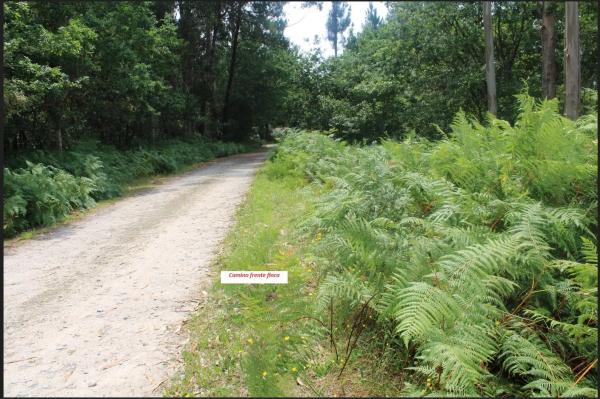 Terreno en a Moniña-Aldea Fraiz, km 0