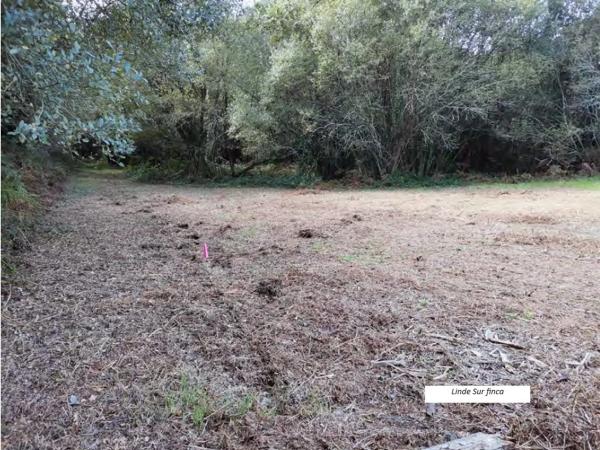 Terreno en a Moniña-Aldea Fraiz, km 0