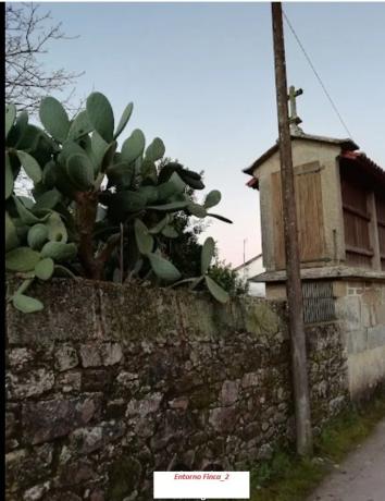 Terreno en a Moniña-Aldea Fraiz, km 0