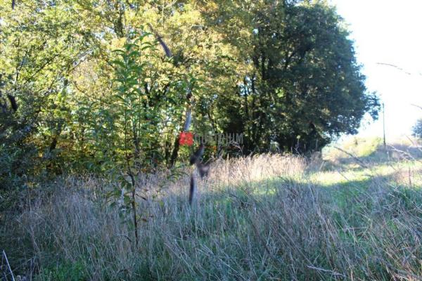 Terreno en Aldea Esparis