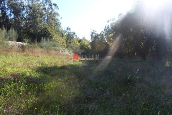 Terreno en Aldea Esparis