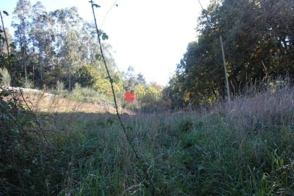 Terreno en Aldea Esparis