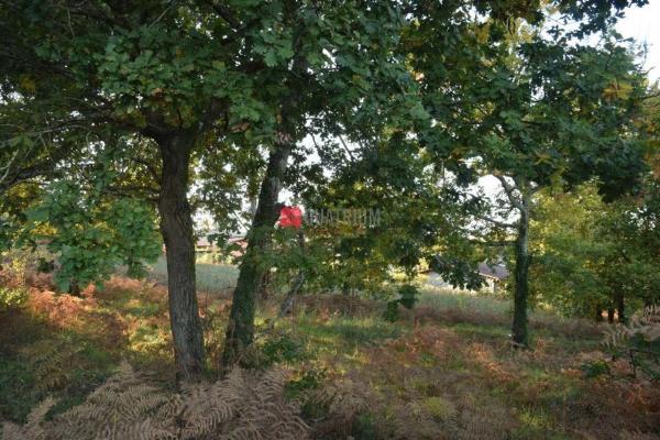 Terreno en Lugar Capeans