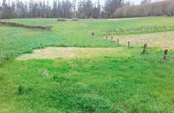 Terreno en Lugar Miramontes