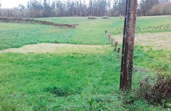 Terreno en Lugar Miramontes