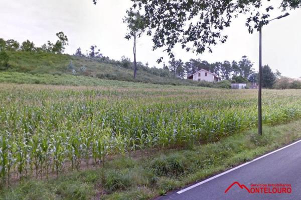 Terreno en camino de Lapido