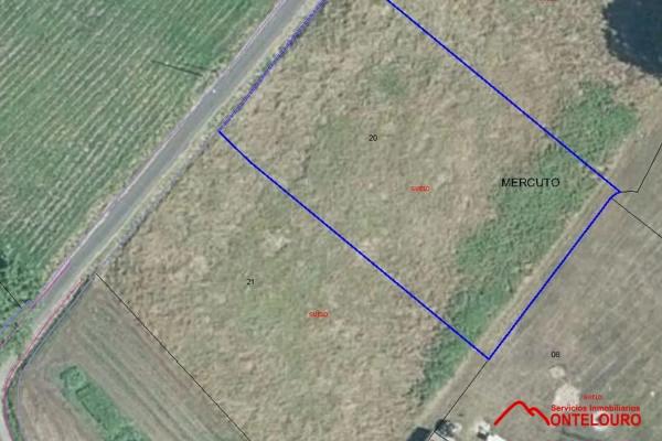 Terreno en Aldea Mercuto