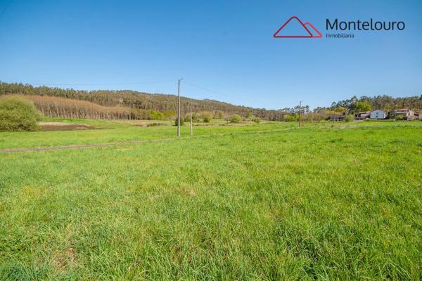 Terreno en Aldea Mercuto