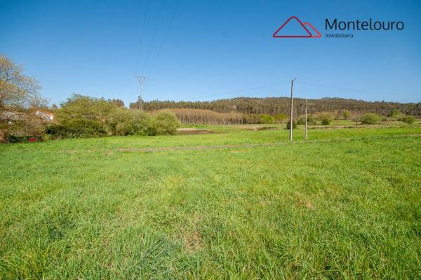 Terreno en Aldea Mercuto