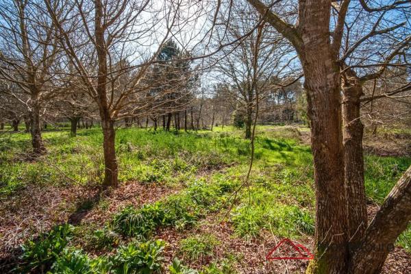 Terreno en Lugar Coruxido