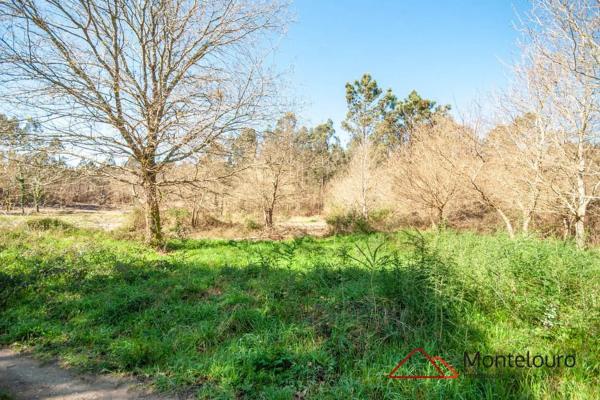Terreno en Lugar Coruxido