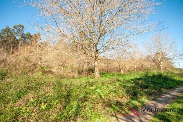 Terreno en Lugar Coruxido