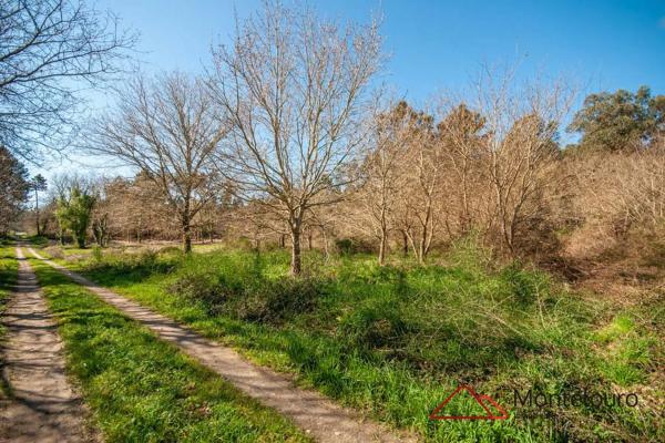 Terreno en Lugar Coruxido