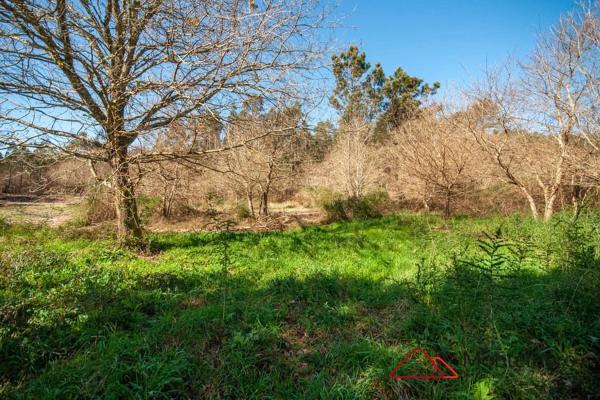 Terreno en Lugar Coruxido