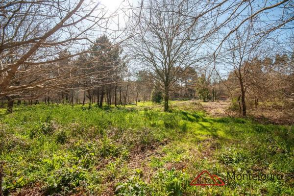 Terreno en Lugar Coruxido