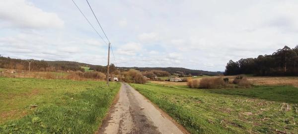 Terreno en Polígono 503.