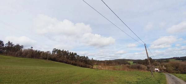 Terreno en Polígono 503.