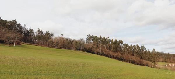 Terreno en Polígono 503.